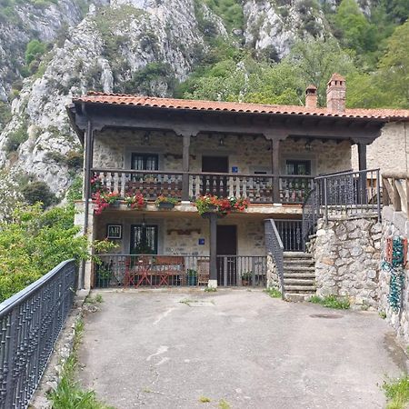 El Portal Del Abuelo Leilighet Arenas De Cabrales Eksteriør bilde