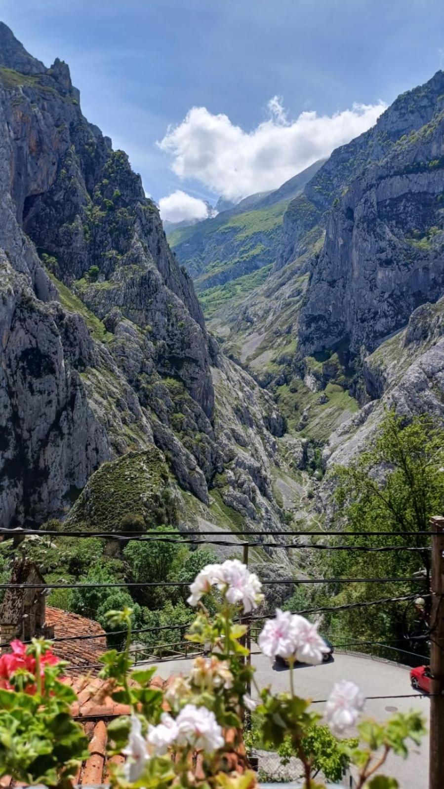 El Portal Del Abuelo Leilighet Arenas De Cabrales Eksteriør bilde