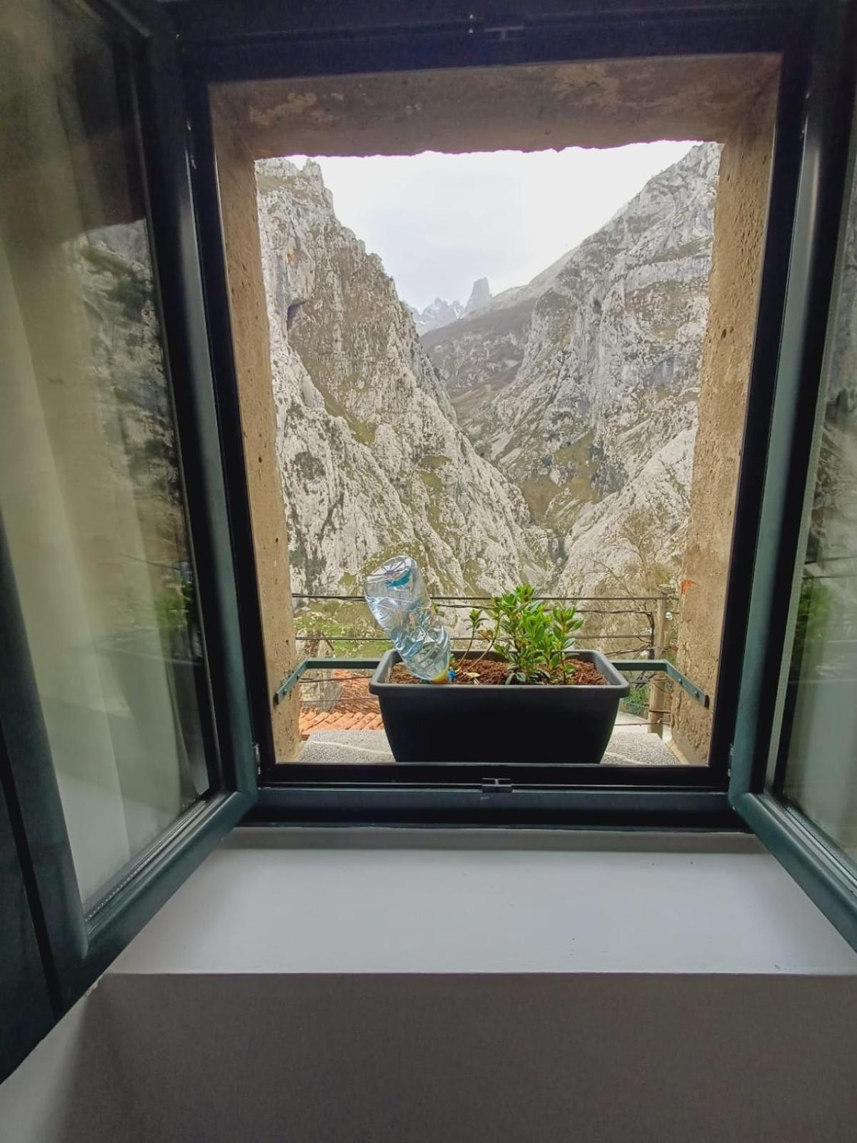 El Portal Del Abuelo Leilighet Arenas De Cabrales Eksteriør bilde